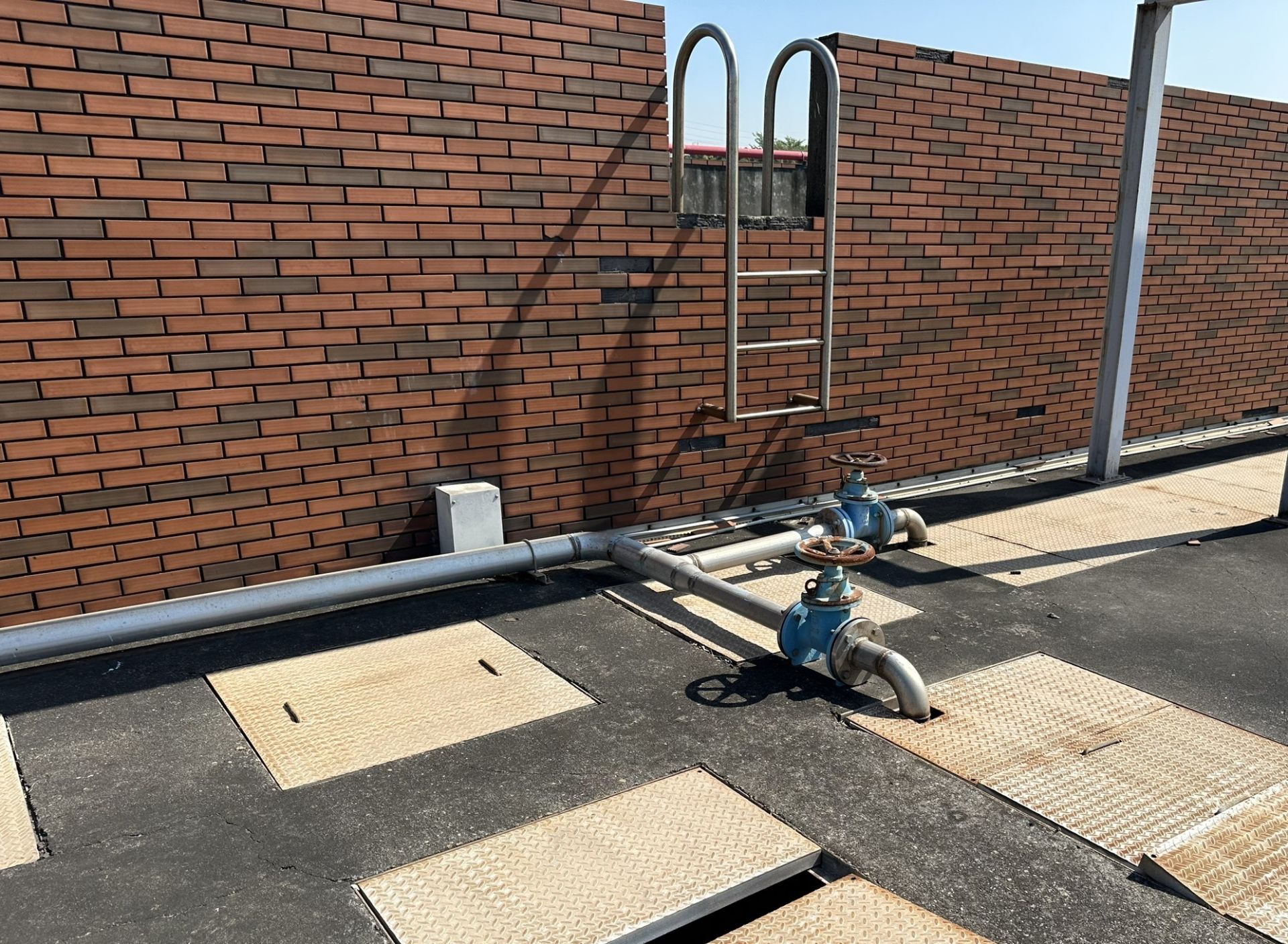 S__77062167_0-1 S__77062167_0-1