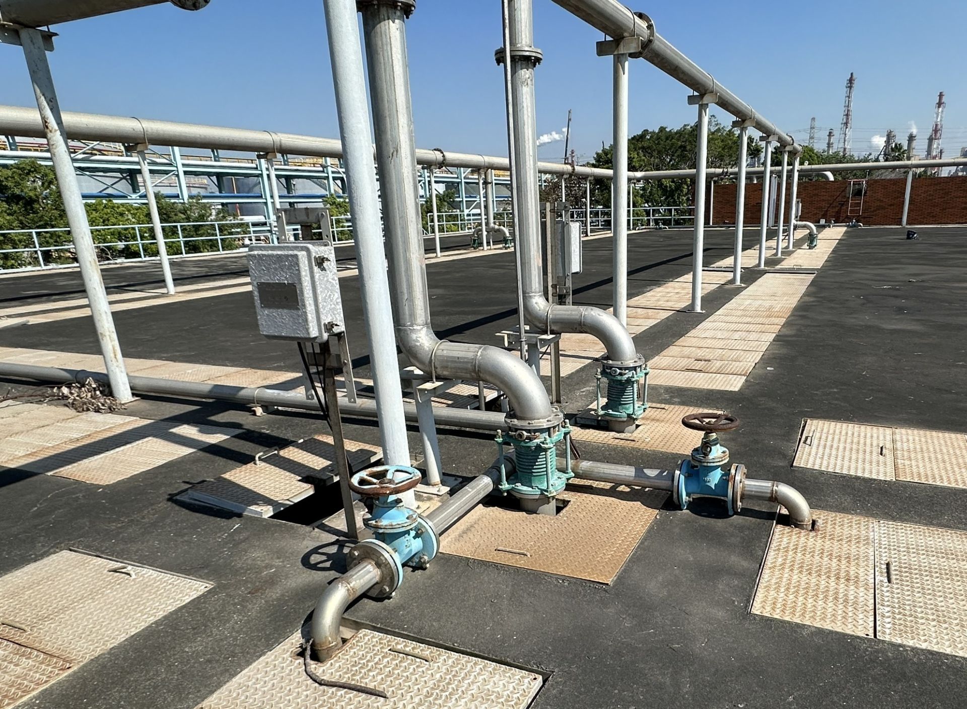 S__77062172_0-1 S__77062172_0-1